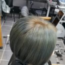 살롱드엠(Salon de M)