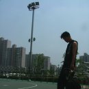 인라인장 이미지