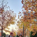 ＜웰컴 투 큰언니＞ 설용수 극작가 이미지