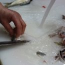 안면도수산시장 이미지