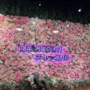 먹이 체험까지 가능한 이색 거북이 카페 파미어스몰 &#39;cafe거부기 앤 쿠펫 판교점&#39; 내돈내산 방문 후기