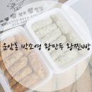 양지-3382 | 운암동맛집 만두하면 바로 여기 박소영 왕만두 왕찐빵