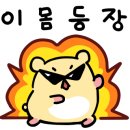 미니노리터 이미지