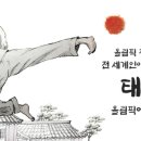 정무태권도체육관 이미지