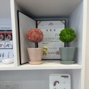 하나히어링 보청기 성동센터 이미지