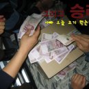 모아랜드 이미지