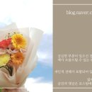 홍천하나플라워