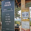 구례농장 | 아이와 구례여행:번덕뜰 체험농장