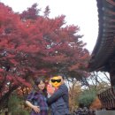 온누리봄꽃약국 네이버블로그