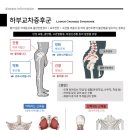 성문한의원 이미지