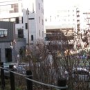 서정커피호프 네이버블로그