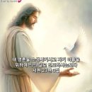 153 이미지