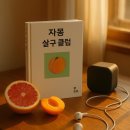 비디오클럽 | 한로로 자몽살구클럽 후기 - 음악과 문학이 만났을 때 생긴 일