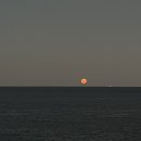 시드니하트 이미지