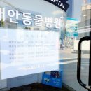 태안 동물병원 이미지