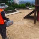 신녕초교병설유치원 이미지