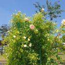 신서중앙공원 이미지