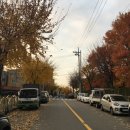 예림한의원 | 하고 싶은 게 너무 많은 사람은 잠을 줄여야 하나?