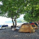 초전마을야영장 이미지