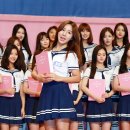 아이돌
