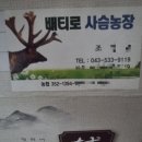 배티농장 이미지