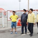 강진8호 이미지