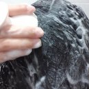 인셀덤뮤즈 | 인셀덤 보타랩 샴푸 트리트먼트 솔직후기