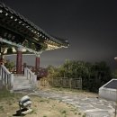 비비정 | [전라북도 완주]완주 삼례 비비정 예술열차 카페 (애견동반) 금비숑