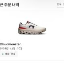 [내돈내산] 요즘 대세 '온러닝' 클라우드 몬스터 공홈 직구 후기! (브랜드 소개/사이즈 팁/결제 해결)