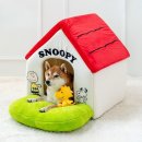 펫 파라다이스 이미지