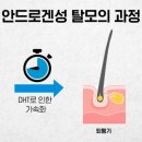 더문 이미지