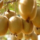 진환농장 이미지