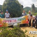 구산 태양광발전소 이미지