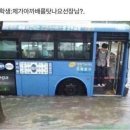 5252 Daum카페