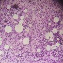 희망동물병원 이미지