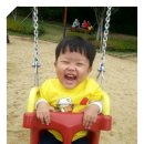 쇠평어린이공원 놀이터 이미지