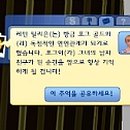 스타심 Daum카페