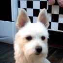 사당시장 이미지