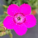 장백농장 이미지