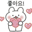 멋스럽개 이미지