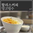 할리스 커피 애플망고 치즈빙수 내돈내산 솔직후기