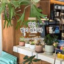 동중5길 이미지