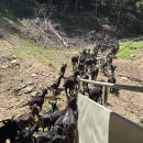 팔미농장 이미지