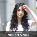 헤어툰