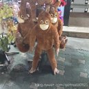 팬텀코인노래연습장 이미지