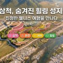가곡유황온천 | [삼척 가볼만한곳] 진정한 웰니스 관광의 완성, 삼척 가곡유황온천 그리고 다가올 가곡 허브정원 소식!