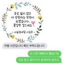 도도푸드 이미지