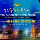 트리플타워공인중개사사무소 이미지