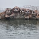 2025 파주시티투어 당일코스(토요일) | [주말에 다녀오는 중국 소도시 연태 여행 ep.2] 연태 2박 3일 여행코스, 가볼만한 곳(고덕지도)