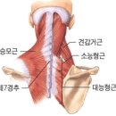 마천경희한의원 이미지